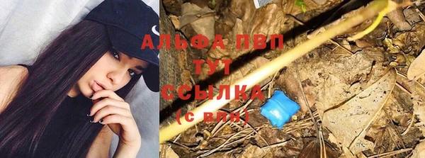 2c-b Елабуга