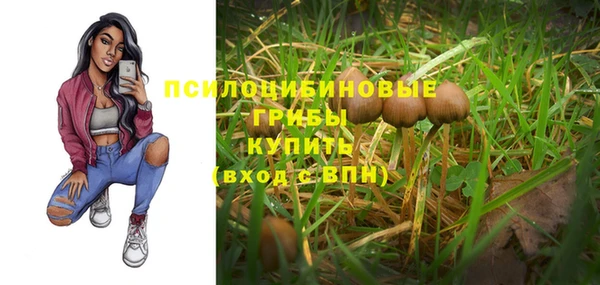 mix Елизово