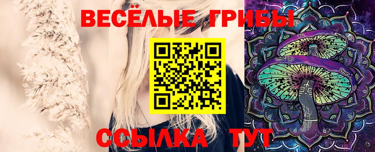 Галлюциногенные грибы прущие грибы  Вход с VPN  Псилоцибиновые грибы Magic Shrooms  Чебаркуль 
