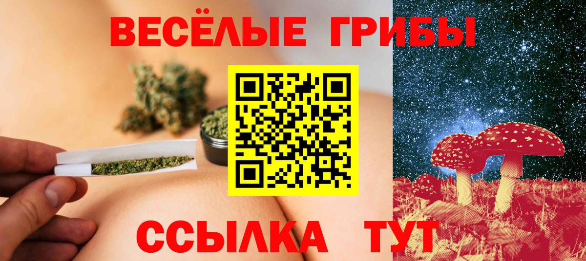 Галлюциногенные грибы Psilocybe Чебаркуль